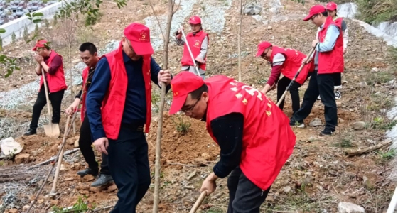 村企共建，共植前锋林