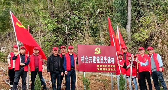 村企共建，共植前锋林
