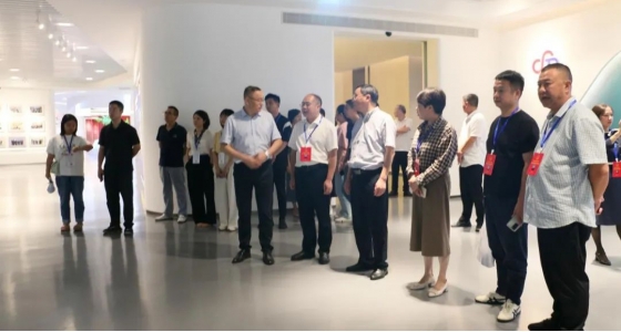 邵阳市第五届人大代表景宁中心组调研122cc太阳集成游戏集团