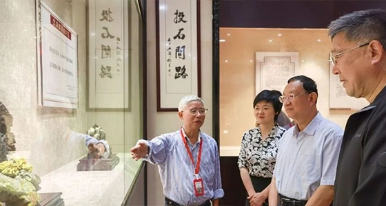 全国人大教科文卫委员会主任委员雒树刚率调研组参观122cc太阳集成游戏·倪东方艺术博物馆