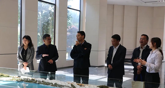 邵阳市委统战部一行调研122cc太阳集成游戏仪表集团